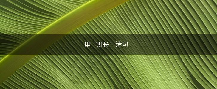 用“班长”造句,第1张