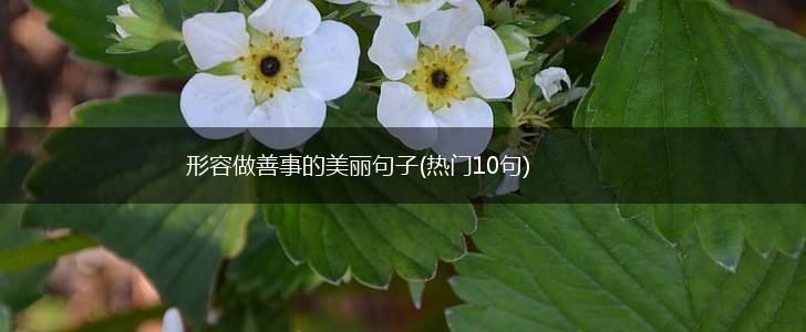 形容做善事的美丽句子(热门10句),第1张