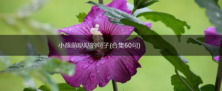 小孩萌哒哒的句子(合集60句),第1张