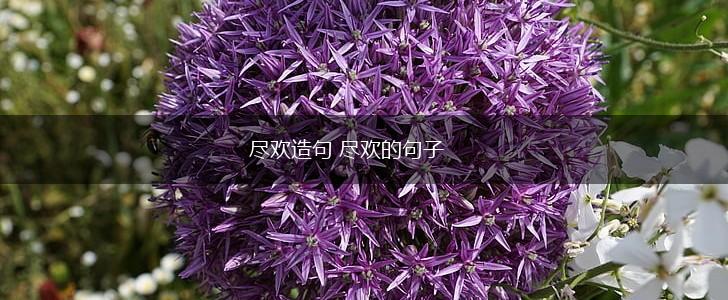 尽欢造句 尽欢的句子,第1张