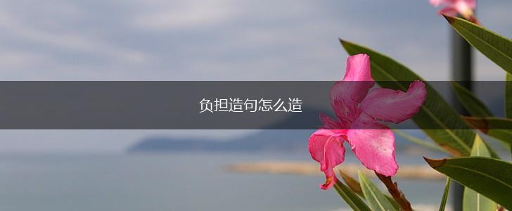 负担造句怎么造,第1张
