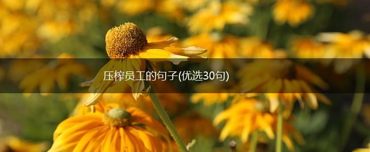 压榨员工的句子(优选30句),第1张