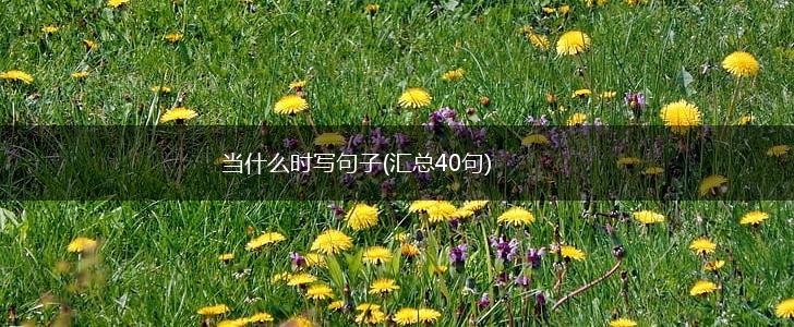 当什么时写句子(汇总40句),第1张