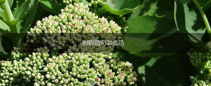 别称造句怎么造,第1张