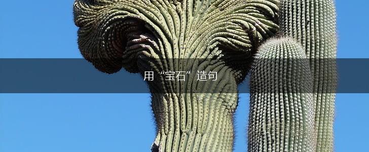 用“宝石”造句,第1张