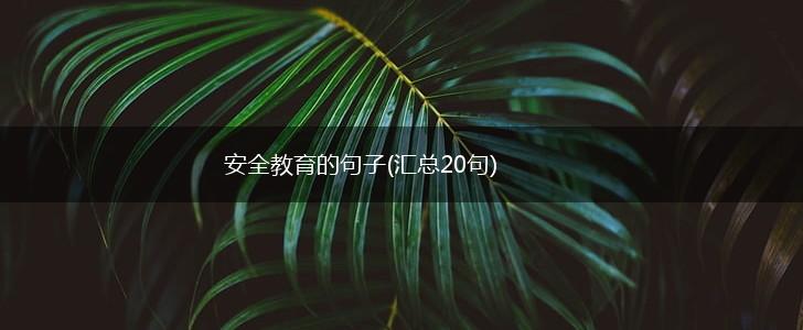 安全教育的句子(汇总20句),第1张