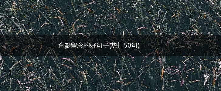 合影留念的好句子(热门50句),第1张