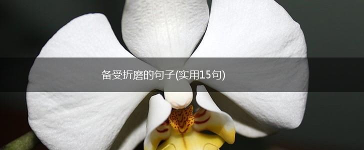 备受折磨的句子(实用15句),第1张