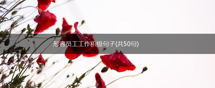 形容员工工作积极句子(共50句),第1张
