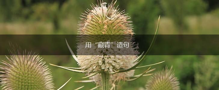 用“藏青”造句,第1张