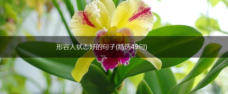 形容人状态好的句子(精选49句),第1张