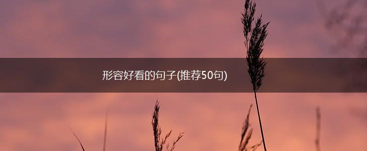形容好看的句子(推荐50句),第1张