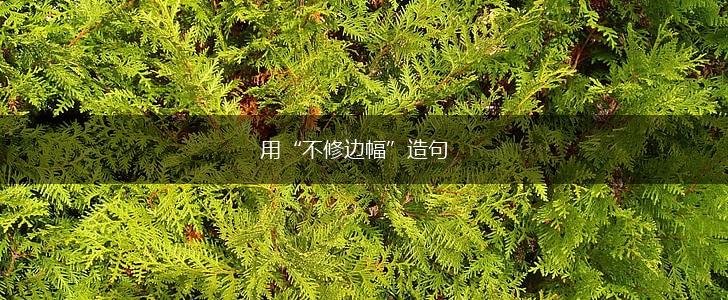 用“不修边幅”造句,第1张