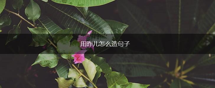 用昨儿怎么造句子,第1张