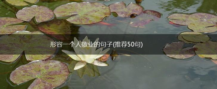 形容一个人敬业的句子(推荐50句),第1张