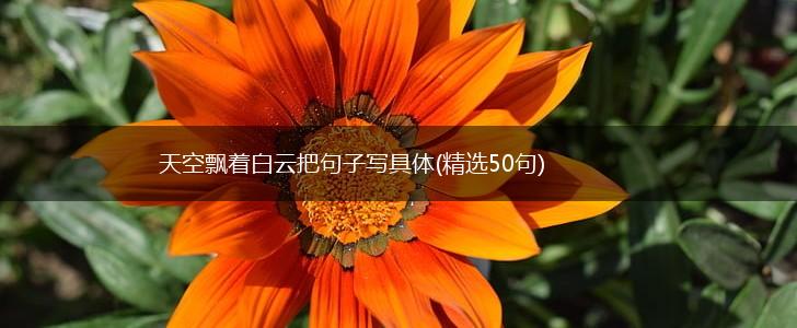 天空飘着白云把句子写具体(精选50句),第1张