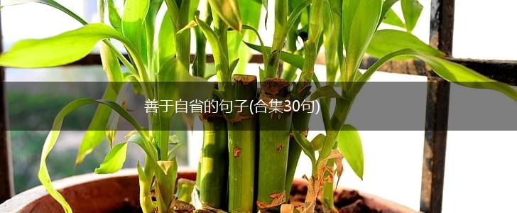 善于自省的句子(合集30句),第1张
