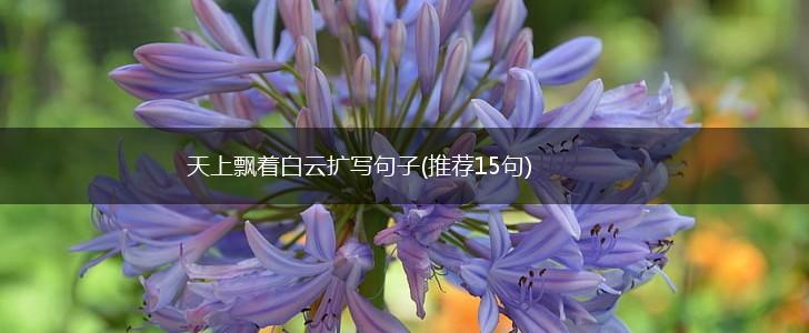 天上飘着白云扩写句子(推荐15句),第1张