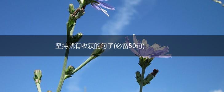 坚持就有收获的句子(必备50句),第1张