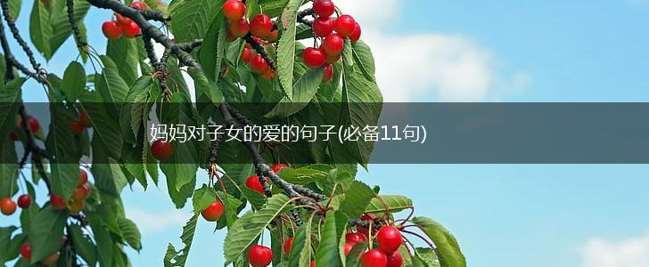 妈妈对子女的爱的句子(必备11句),第1张