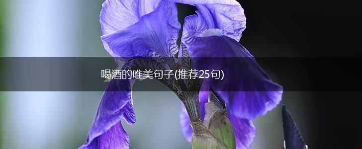 喝酒的唯美句子(推荐25句),第1张