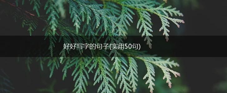 好好写字的句子(实用50句),第1张