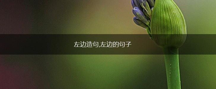 左边造句,左边的句子,第1张