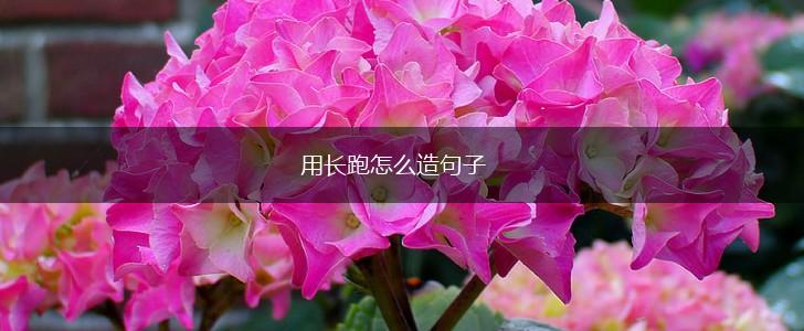 用长跑怎么造句子,第1张