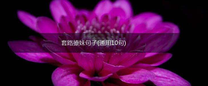 套路撩妹句子(通用10句),第1张