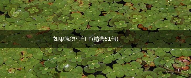 如果就得写句子(精选51句),第1张
