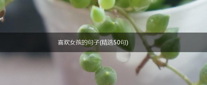 喜欢女孩的句子(精选50句),第1张