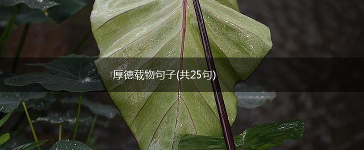厚德载物句子(共25句),第1张