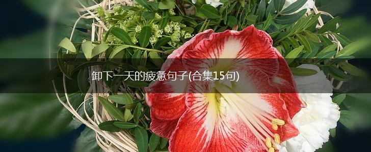 卸下一天的疲惫句子(合集15句),第1张