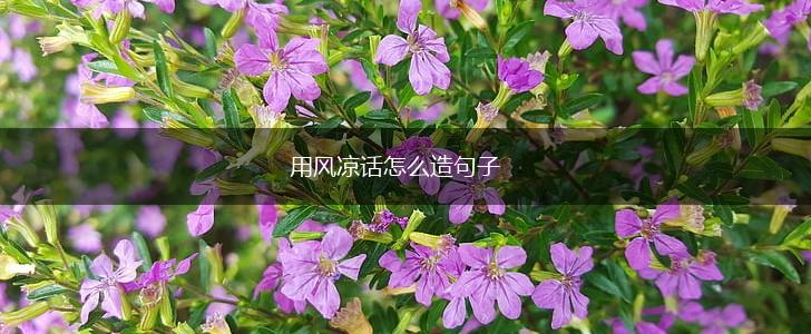 用风凉话怎么造句子,第1张