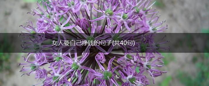 女人要自己挣钱的句子(共40句),第1张