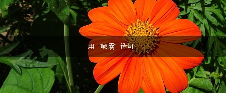 用“嘟囔”造句,第1张