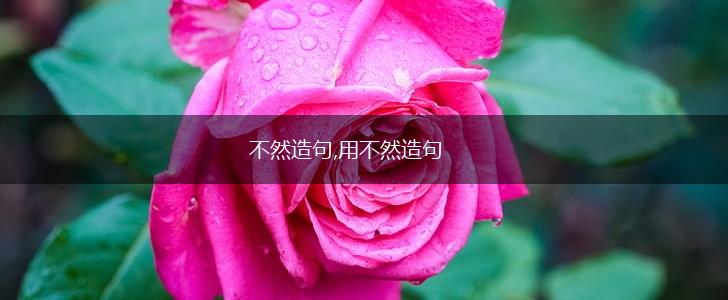 不然造句,用不然造句,第1张