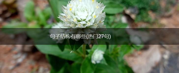 句子结构有哪些(热门27句),第1张