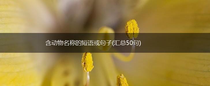 含动物名称的短语或句子(汇总50句),第1张