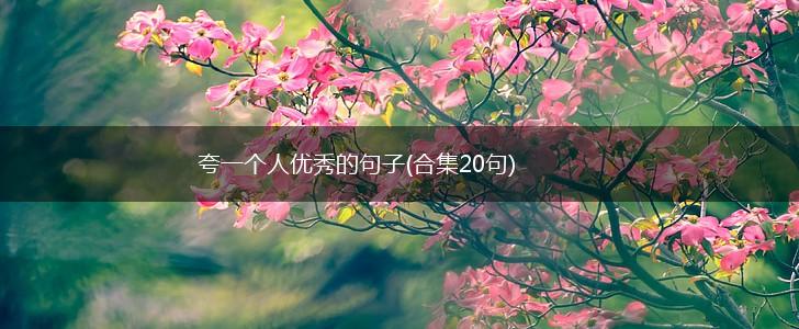 夸一个人优秀的句子(合集20句),第1张