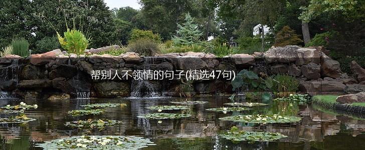 帮别人不领情的句子(精选47句),第1张