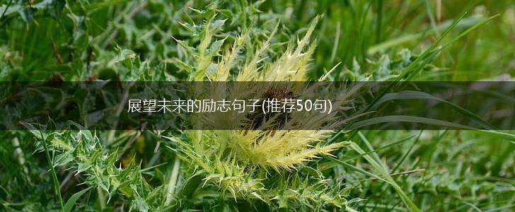 展望未来的励志句子(推荐50句),第1张