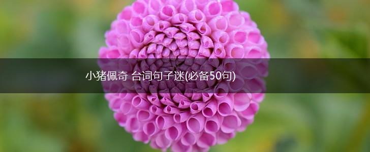 小猪佩奇 台词句子迷(必备50句),第1张
