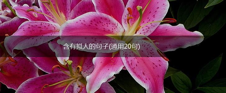 含有拟人的句子(通用20句),第1张