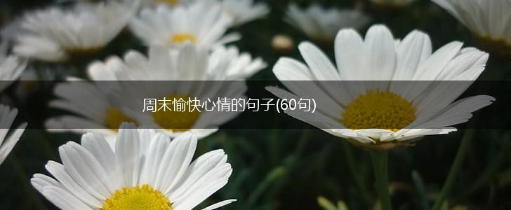 周末愉快心情的句子(60句),第1张