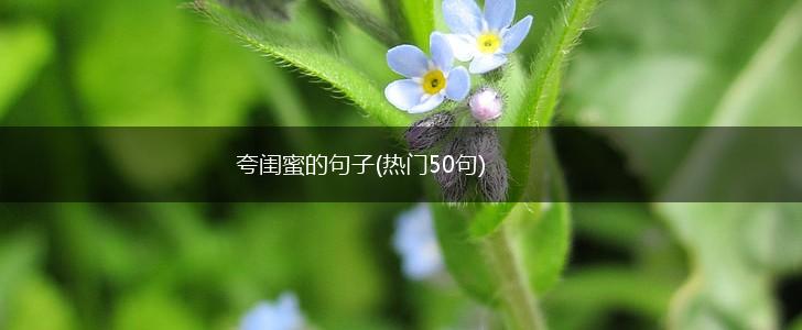 夸闺蜜的句子(热门50句),第1张