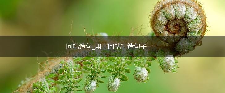 回帖造句_用“回帖”造句子,第1张