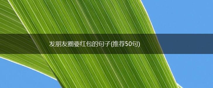 发朋友圈要红包的句子(推荐50句),第1张