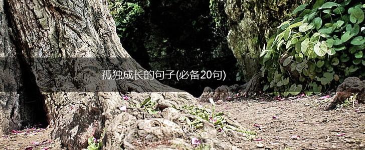 孤独成长的句子(必备20句),第1张