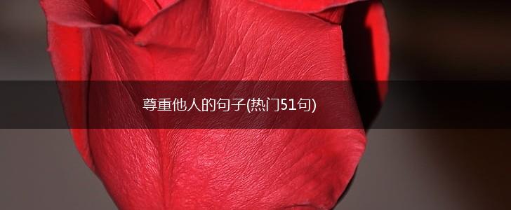 尊重他人的句子(热门51句),第1张